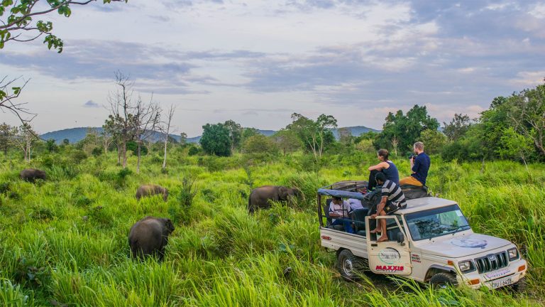 Habarana: The Gateway to Sri Lanka’s Cultural Triangle