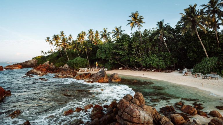Mirissa: Sri Lanka’s Ultimate Beach & Whale Watching Paradise